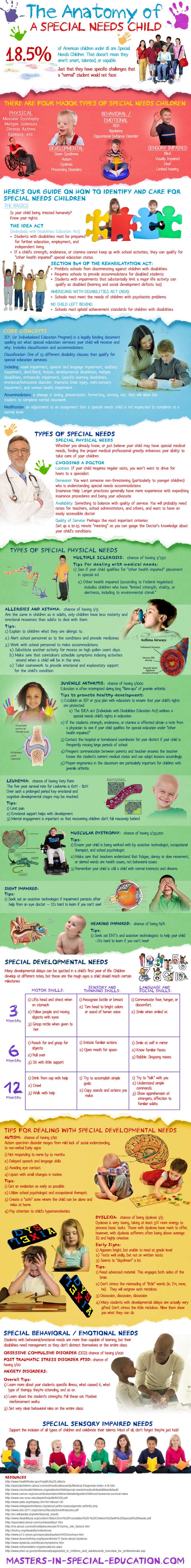 Anatomy of a Special Needs Child
