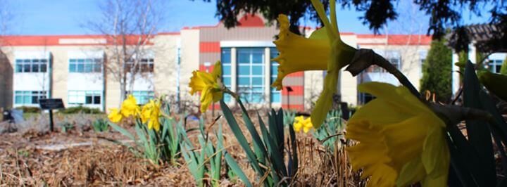 cardinal-stritch-university-nonprofit-special-education