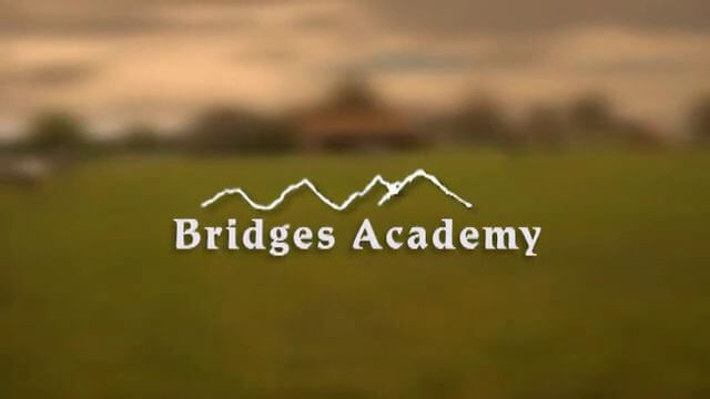 Bridges Academy