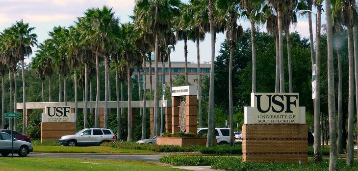 University of South Florida