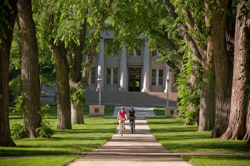 Colorado State University